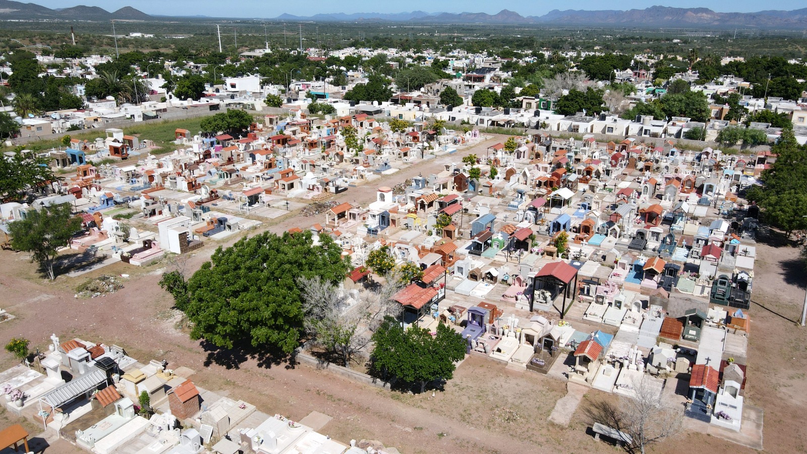 Avanza limpieza en panteones