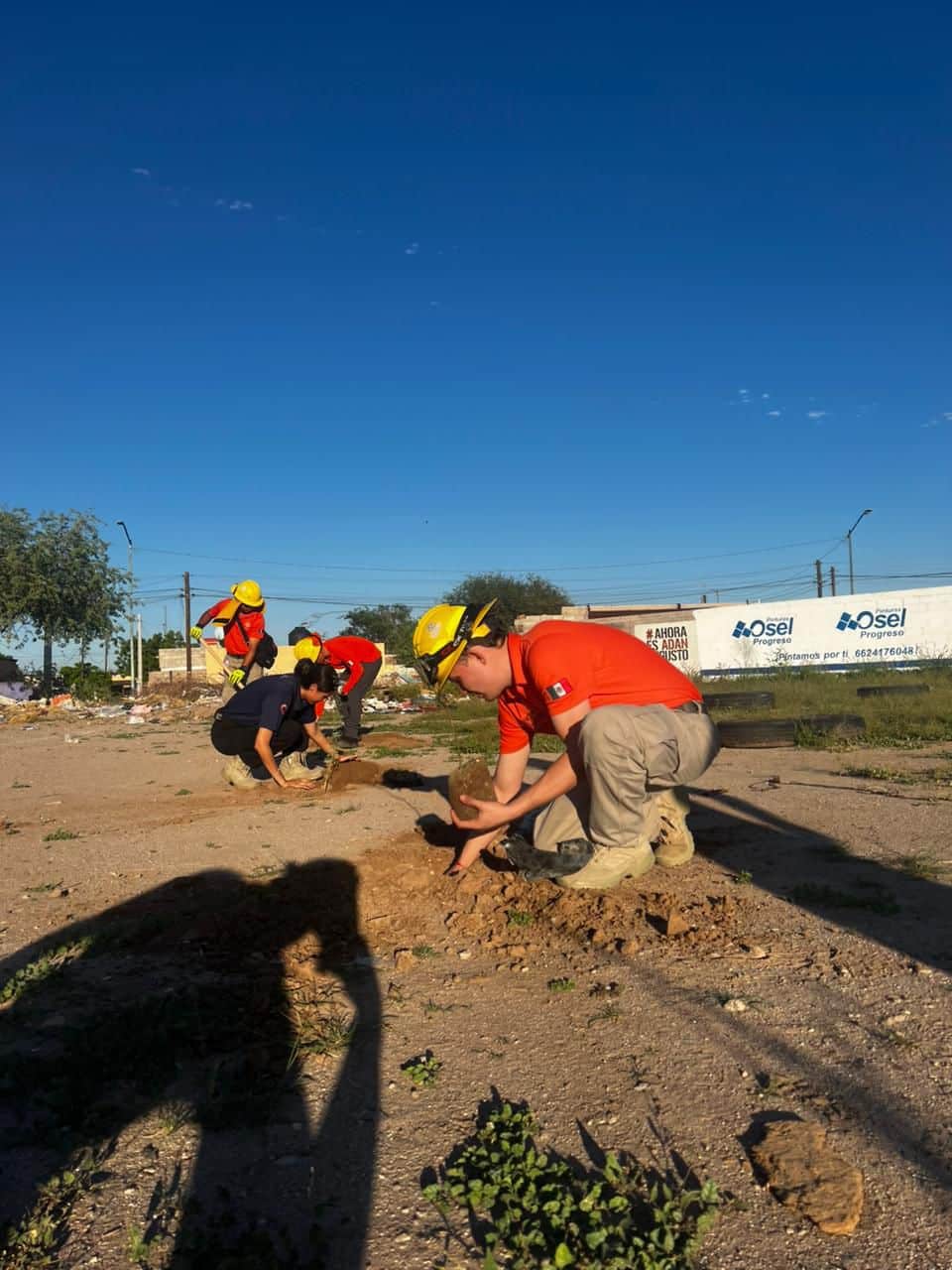 Gobierno de Sonora realiza acciones de reforestación