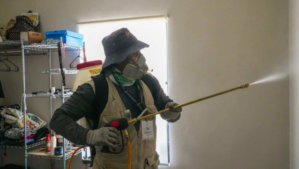 Atiende Gobierno de Sonora proliferación de mosco portador del dengue en el estado