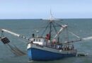 Salen 49 barcos a la pesca de camarón