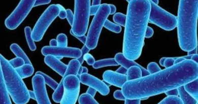 Descubren un depredador microscopico marino que captura carbono