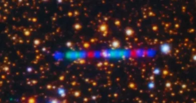 Diseno sin titulo 41 1