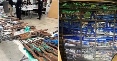 Eu Decomisa 400 Armas Mexico