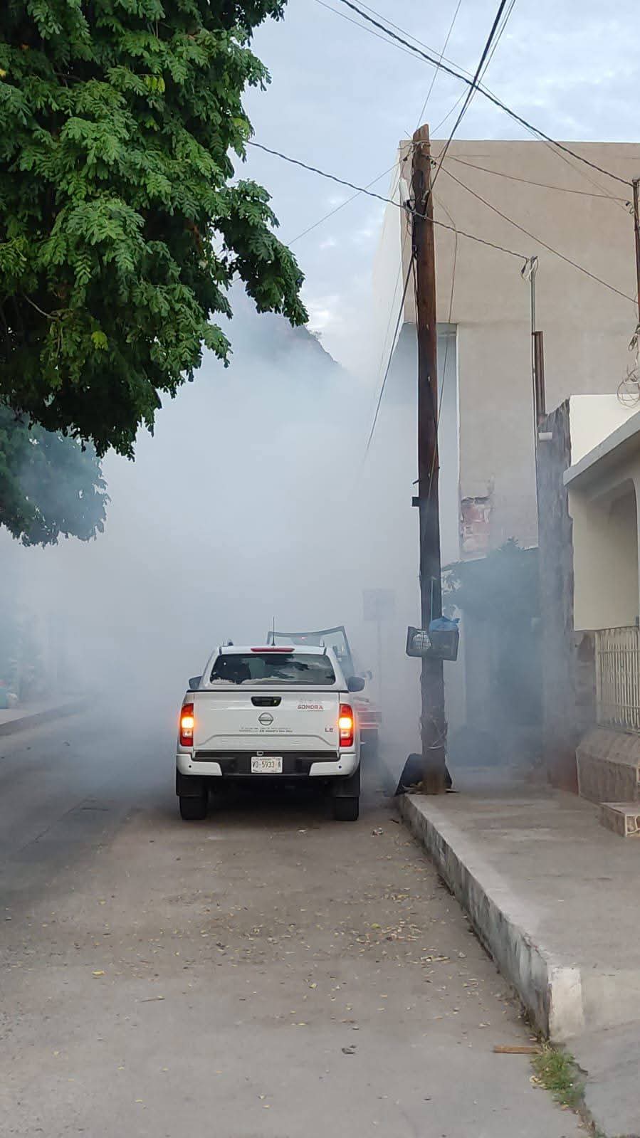 Sigue fumigación en el Puerto de Guaymas