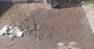 Riesgo sanitario en Niza