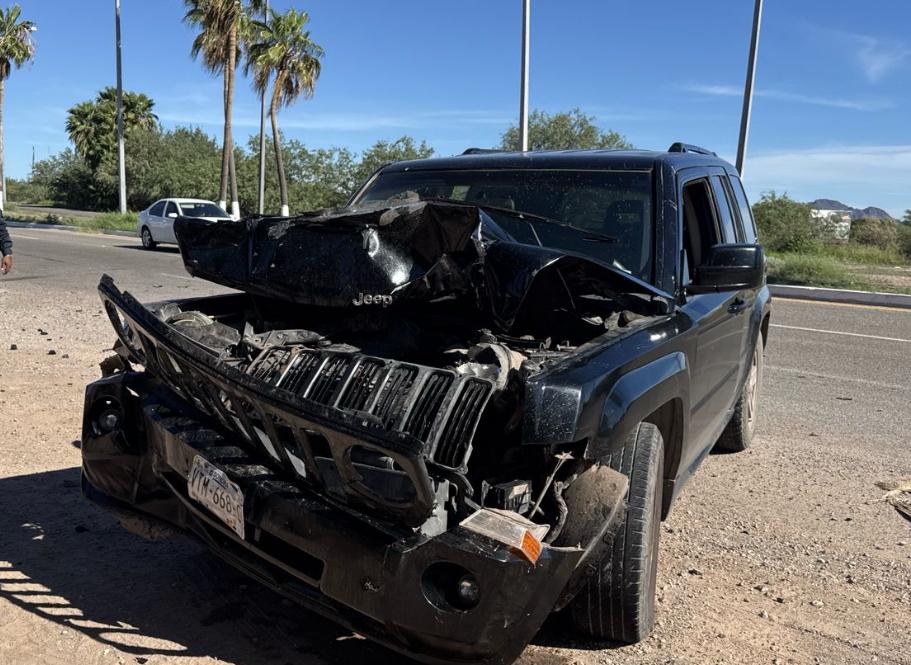 IMG 20251005 WA01051