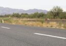 Encuentran hombre sin vida en carretera a Hermosillo