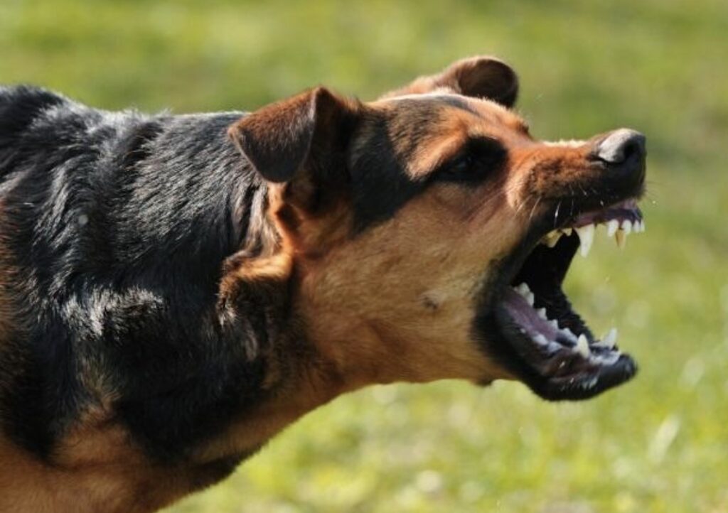 Screenshot 20251002 164951 com.android.chrome