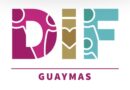 DIF del Puerto de Guaymas entrega niño encontrado en la calle a su tía