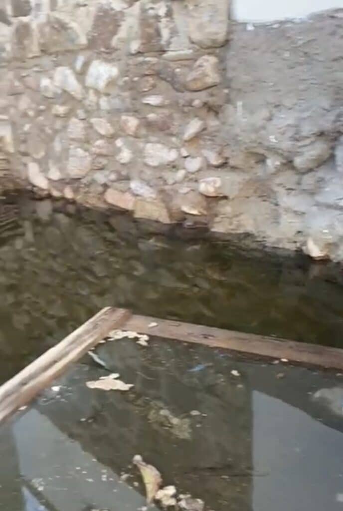 Screenshot 20251015 162438 com.whatsapp