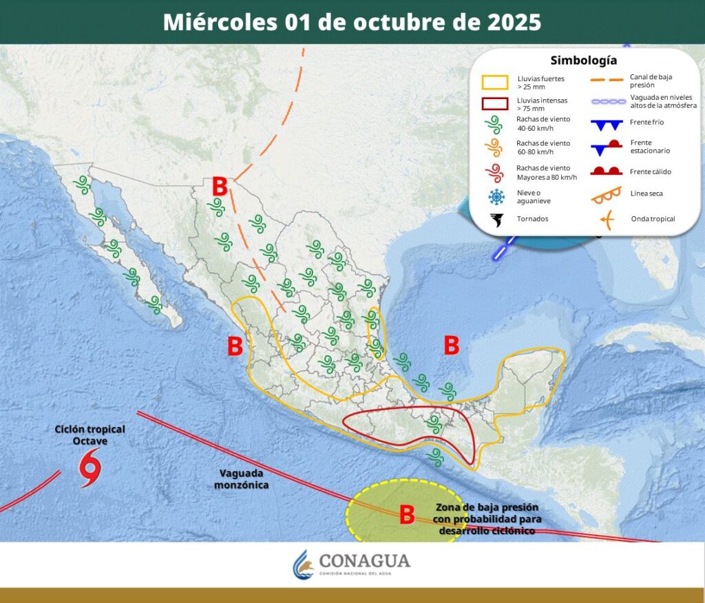 WhatsApp Image 2025 10 01 at 10.01.03 AM