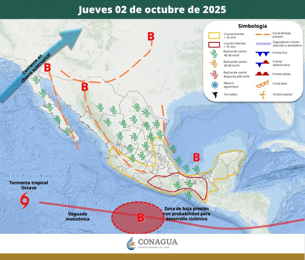 WhatsApp Image 2025 10 02 at 9.46.17 AM