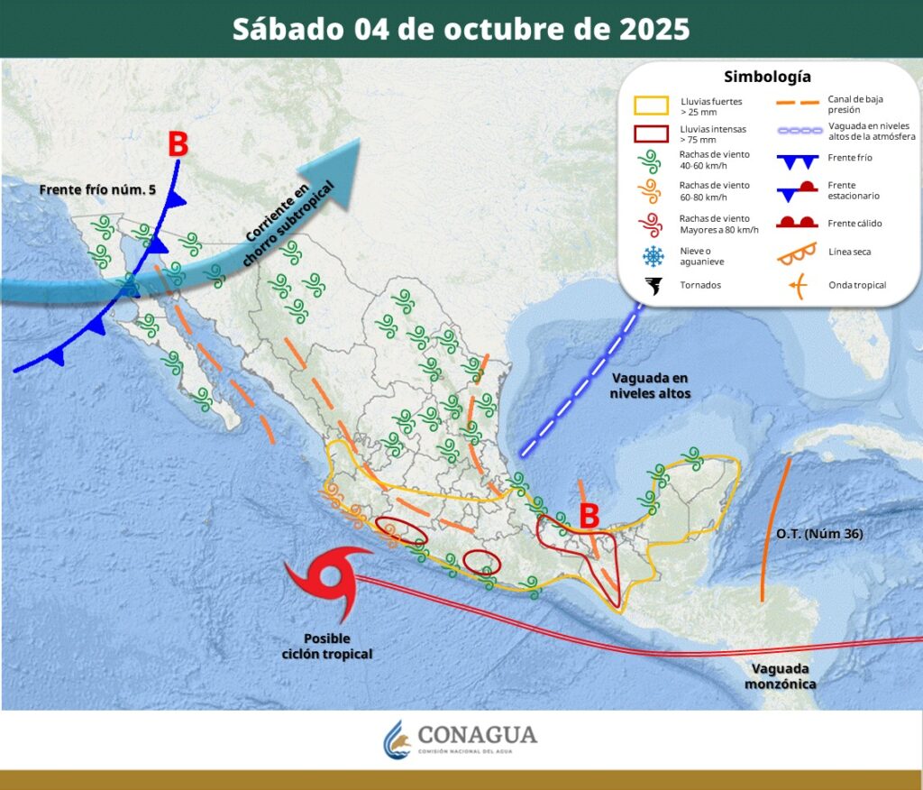 WhatsApp Image 2025 10 04 at 11.08.03 AM