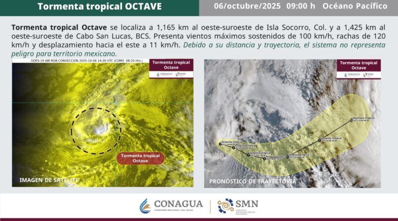 WhatsApp Image 2025 10 06 at 10.42.19 AM