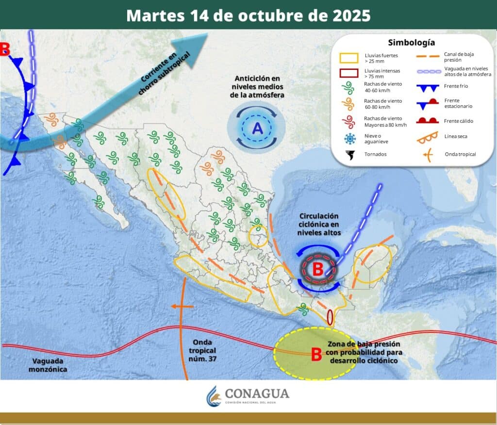 WhatsApp Image 2025 10 14 at 11.16.33 AM