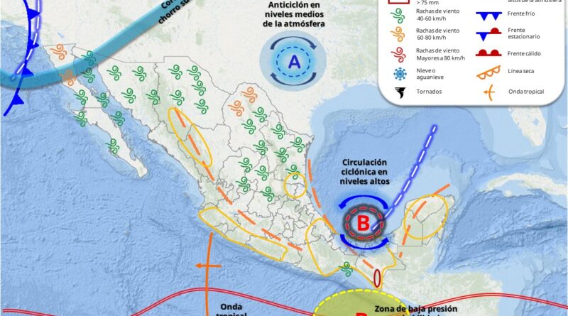 WhatsApp Image 2025 10 14 at 11.16.33 AM