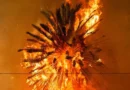 Se incendia predio