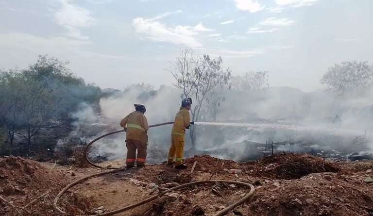 f768x1 387025 387152 5050