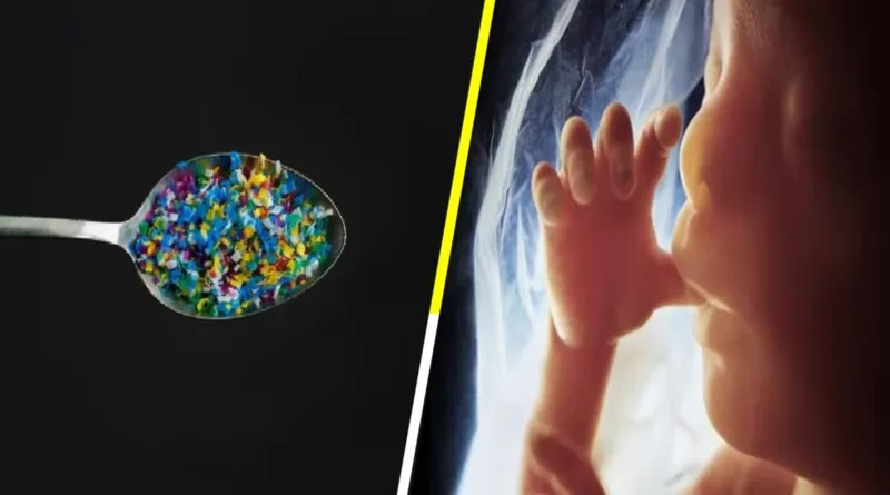microplasticos placenta humana