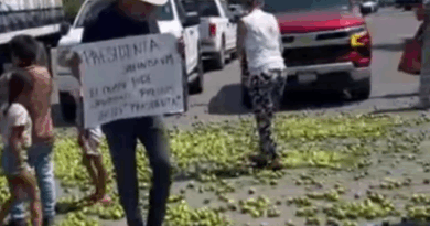 Productores de limón de Michoacán, tiran su cosecha en protesta por bajos precios