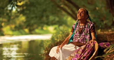 pueblos indigenas galeria oaxaca tehuana