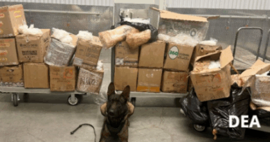 Asegura DEA más de 900 kilos de metanfetamina vincula al CJNG en California