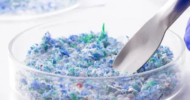 trazas plastico microplasticos placa petri 72932 6997 1