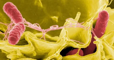 31df6519 08e6 4a8d a13b d1109f3e29cb 2