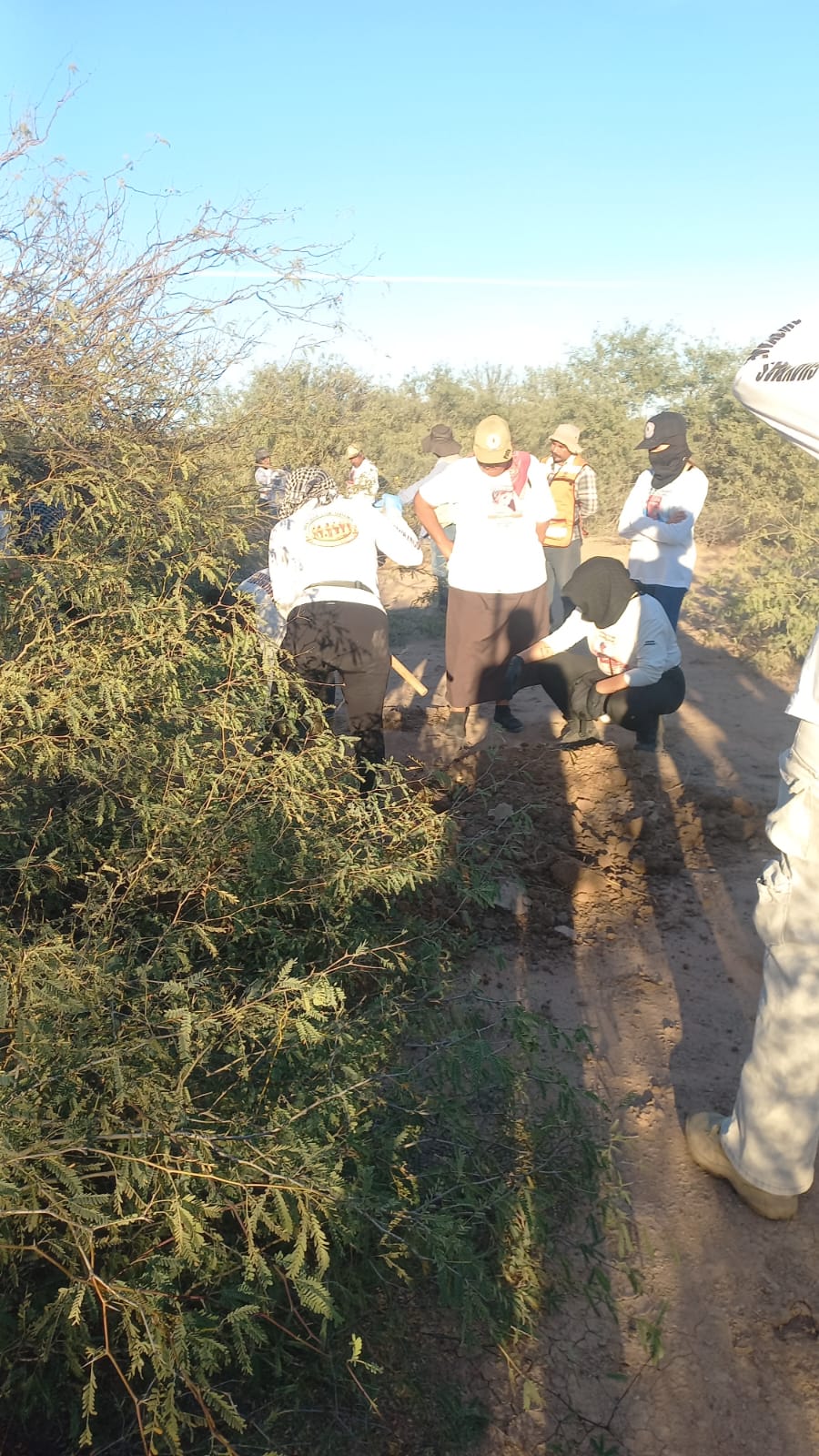 Localizan restos humanos en el Choyudo