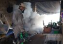 Se intensifican las acciones de prevención contra el dengue