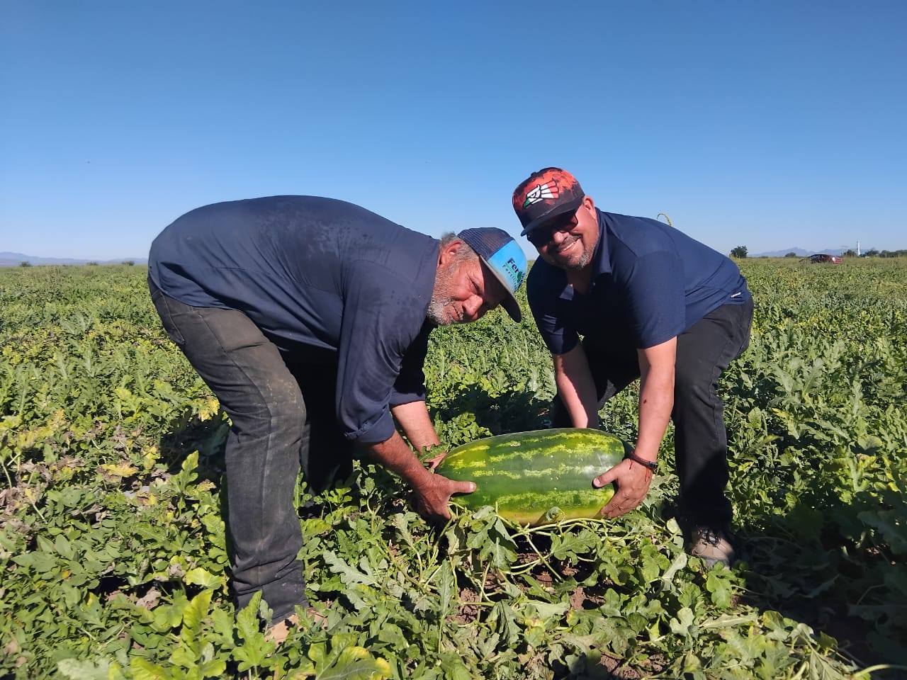 Realizan ‘Fiesta de la Sandía’ 2025, en el ejido Yaqui