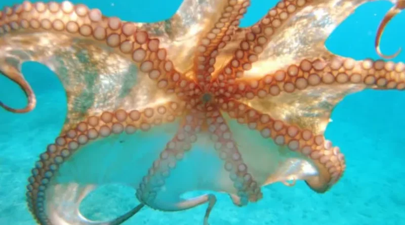 Diseno sin titulo 5 20