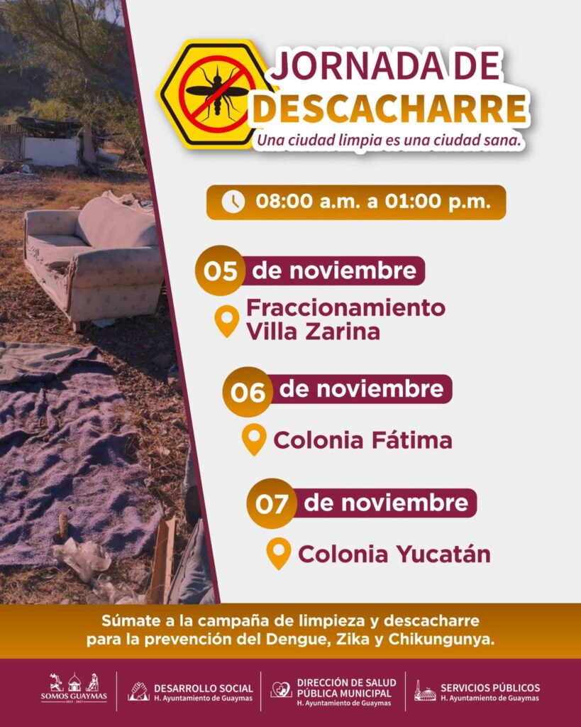 Realizarán jornada de descacharre 1 FB IMG 1761952180003 1