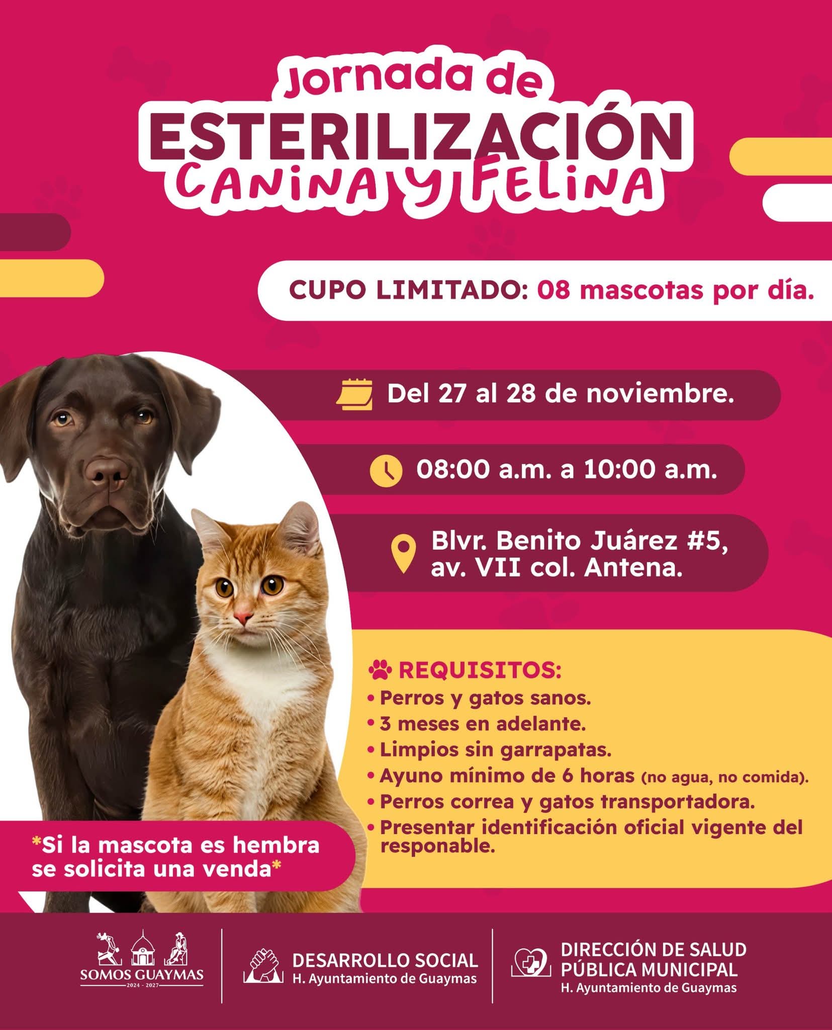 Preparan jornada de esterilización en Guaymas