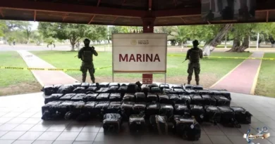 Gran golpe al Narcotráfico: aseguran cocaína en michoacán
