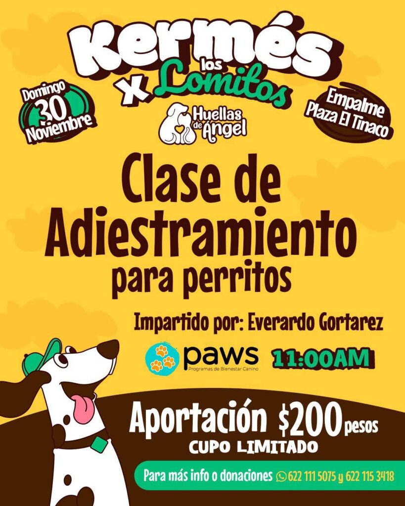 IMG 20251128 WA0194 1