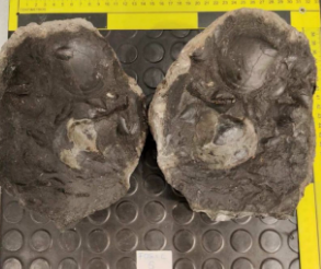 España recupera piezas históricas de México 4 Mexico 3