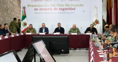 Operativo “Plan por la Paz y la Justicia” en Michoacan deja 12  personas detenidas