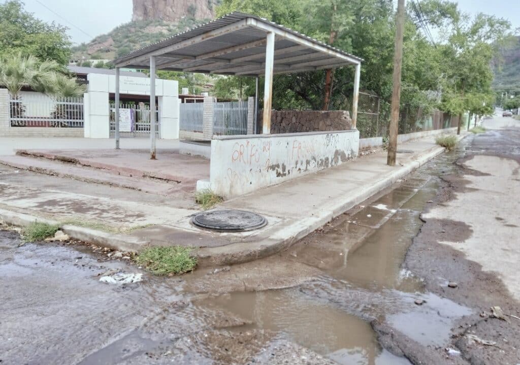 Screenshot 20251031 160813 com.hihonor.photos