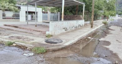 Screenshot 20251031 160813 com.hihonor.photos