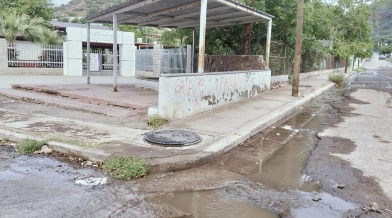 Screenshot 20251031 160813 com.hihonor.photos