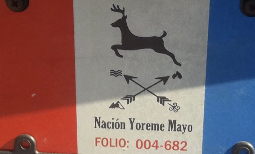 Placas seris inundan calles del puerto de Guaymas 2 Screenshot 20251118 160750 com.whatsapp.w4b 1