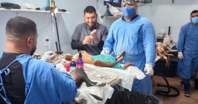 WhatsApp Image 2025 11 07 at 1.37.26 PM 1 1