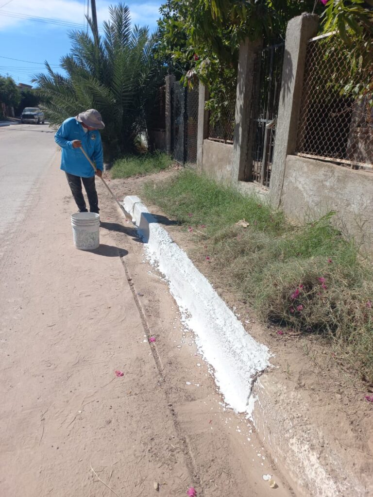 WhatsApp Image 2025 11 10 at 12.20.19 PM 1