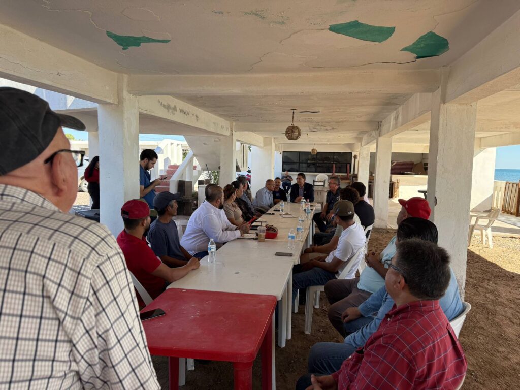 WhatsApp Image 2025 11 10 at 12.20.20 PM 6