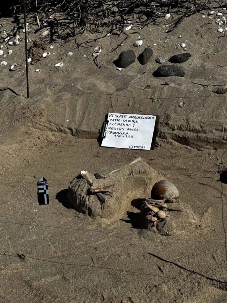 Se localiza entierro prehispánico 3 WhatsApp Image 2025 11 11 at 1.19.40 PM 2