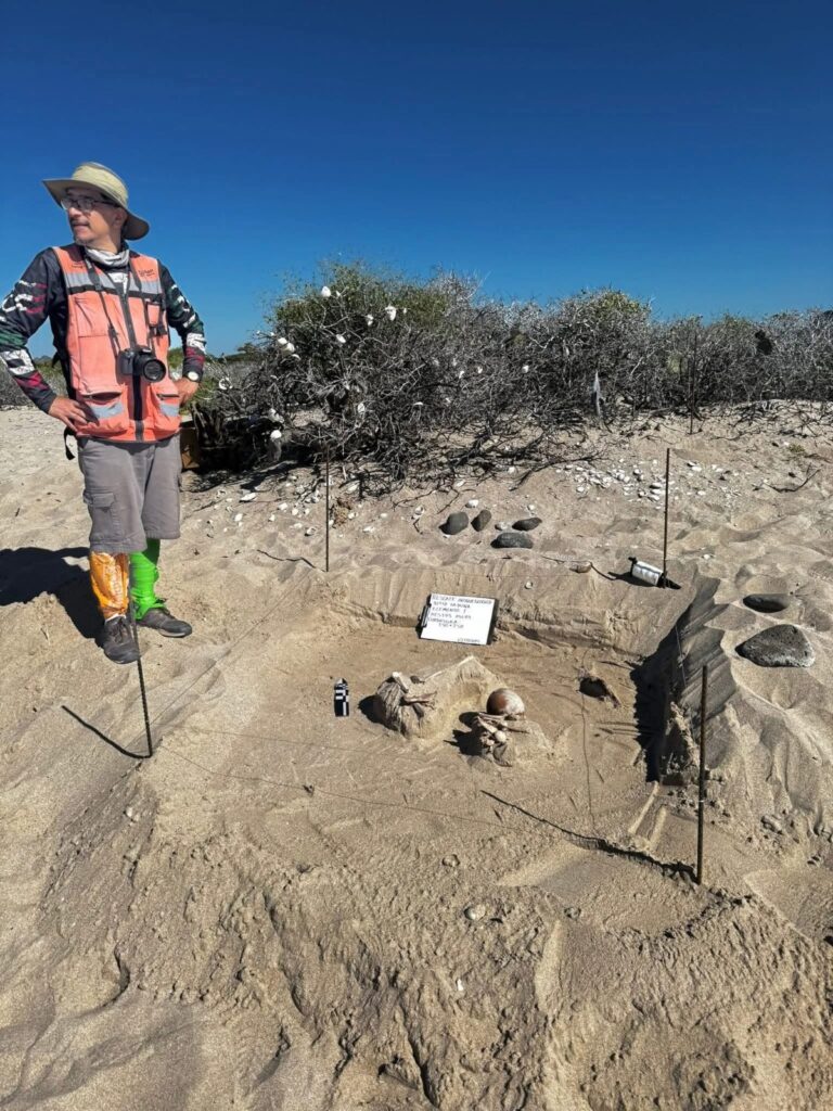 Se localiza entierro prehispánico 2 WhatsApp Image 2025 11 11 at 1.19.40 PM 3