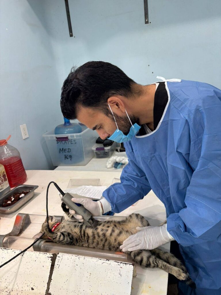 WhatsApp Image 2025 11 11 at 1.19.41 PM 1