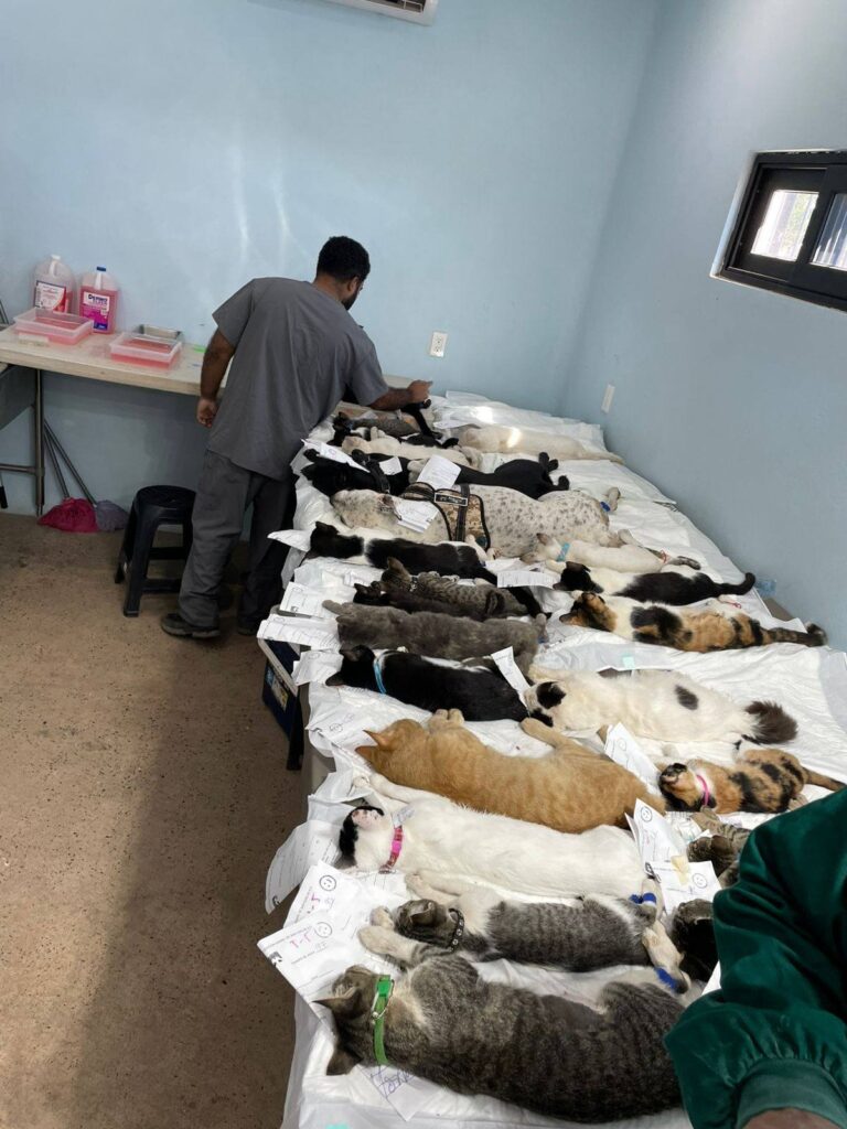 WhatsApp Image 2025 11 11 at 1.19.41 PM 2