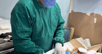 WhatsApp Image 2025 11 11 at 1.19.41 PM 3